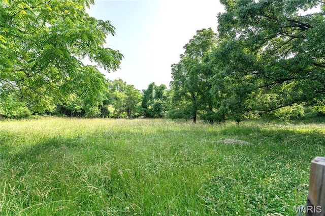 12310 State Route Hh, Rolla, MO 65401 - view of undeveloped land
