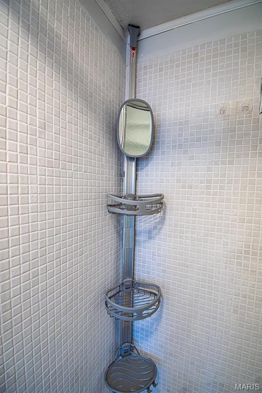 10344 Forest Brook Ln Unit C, Saint Louis, MO 63146 - bathroom view
