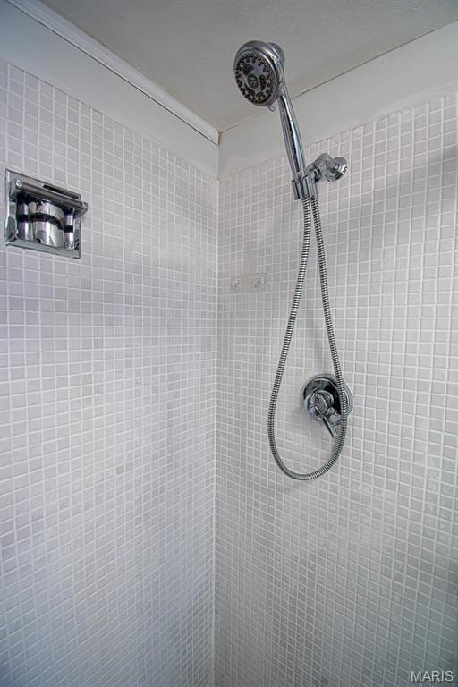 10344 Forest Brook Ln Unit C, Saint Louis, MO 63146 - bathroom view of a tile shower