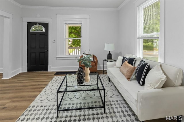 1801 Main St, Alton, IL 62002 - living area featuring wood finished floors and ornamental molding