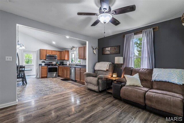 302 Bogy St, De Soto, MO 63020 - living room with healthy amount of natural light, vaulted ceiling, ceiling fan, and dark wood-style floors