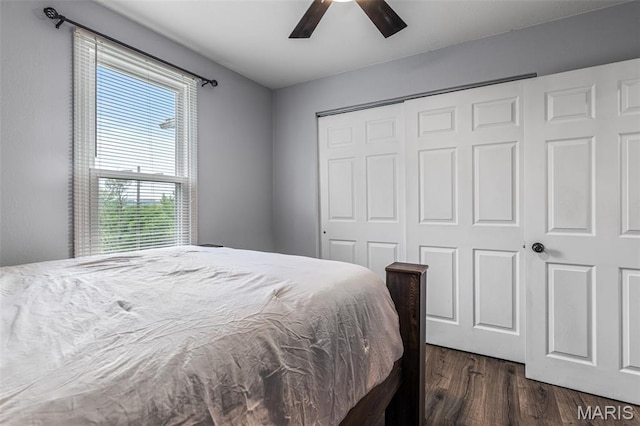 302 Bogy St, De Soto, MO 63020 - bedroom featuring dark wood-style flooring, a closet, and ceiling fan
