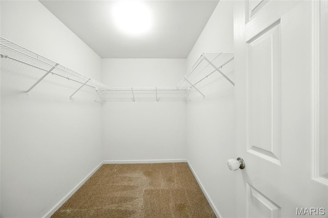 1161 Foxwood Estates Dr, Arnold, MO 63010 - walk in closet featuring carpet