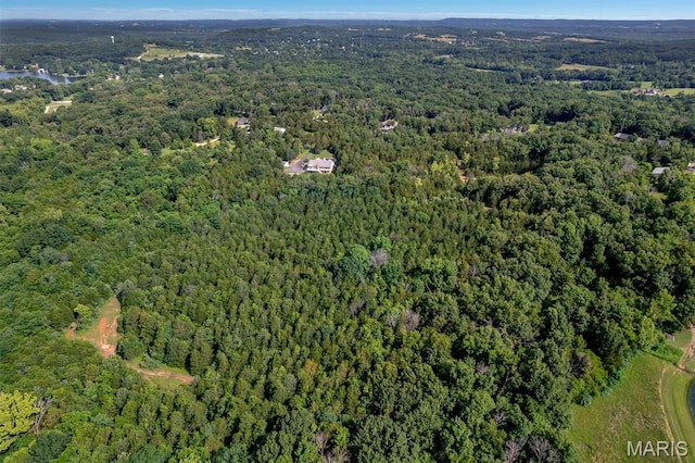 2518 Nike Base Rd, Catawissa, MO 63015 - view of property location with a forest