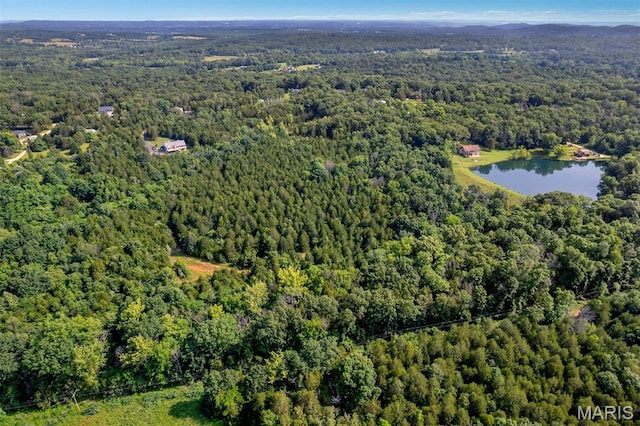 2518 Nike Base Rd, Catawissa, MO 63015 - aerial overview of property's location with a forest and a nearby body of water
