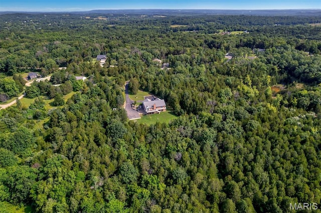 2518 Nike Base Rd, Catawissa, MO 63015 - view of property location featuring a heavily wooded area