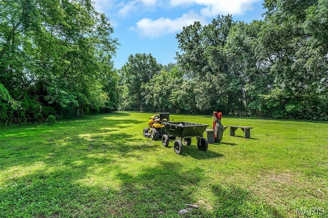 2466 State Road Ff, Eureka, MO 63025 - view of green lawn