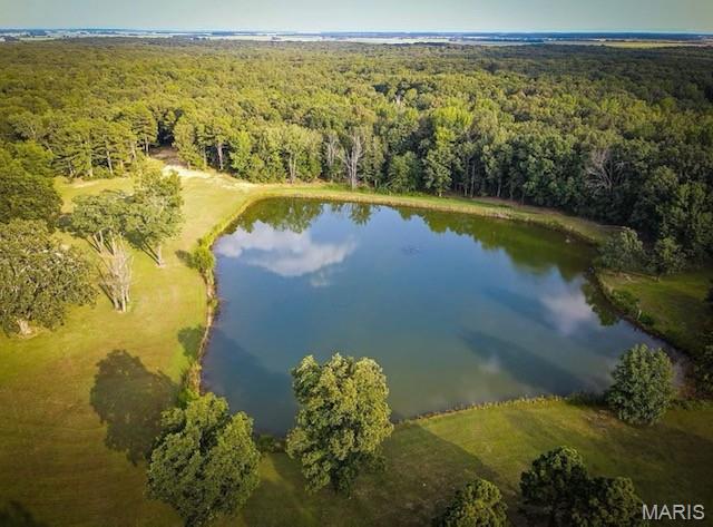 2826 Hwy T, Poplar Bluff, MO 63901 - photo 48