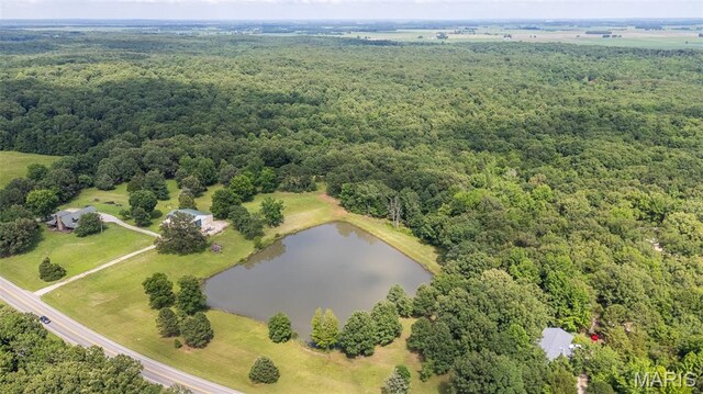 2826 Hwy T, Poplar Bluff, MO 63901 - photo 53