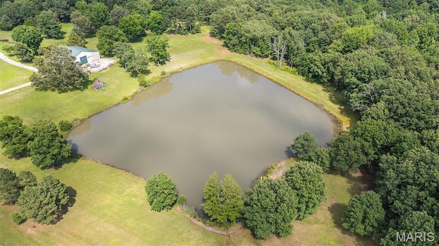2826 Hwy T, Poplar Bluff, MO 63901 - photo 54