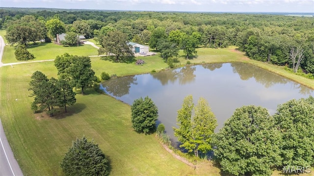 2826 Hwy T, Poplar Bluff, MO 63901 - photo 55
