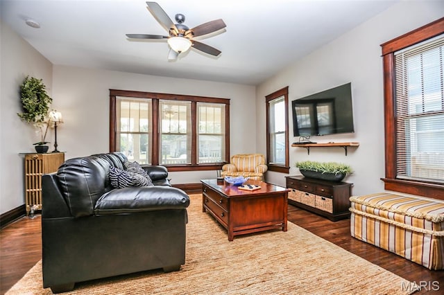 201 S Columbus St, Pacific, MO 63069 - living room featuring wood finished floors and a ceiling fan