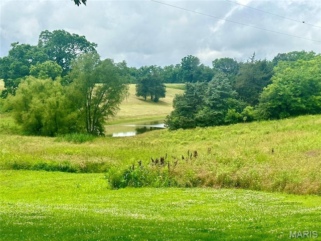 3911 State Route 3, Chester, IL 62233 - view of yard featuring a water view