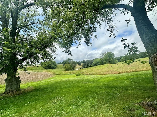 3911 State Route 3, Chester, IL 62233 - view of grassy yard