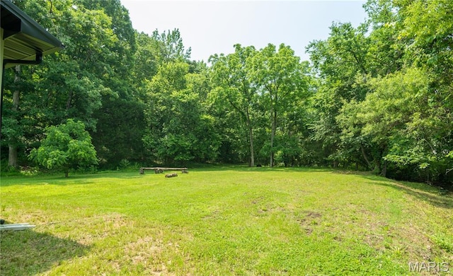 201 W 5th St, Grandin, MO 63943 - view of grassy yard featuring a forest view