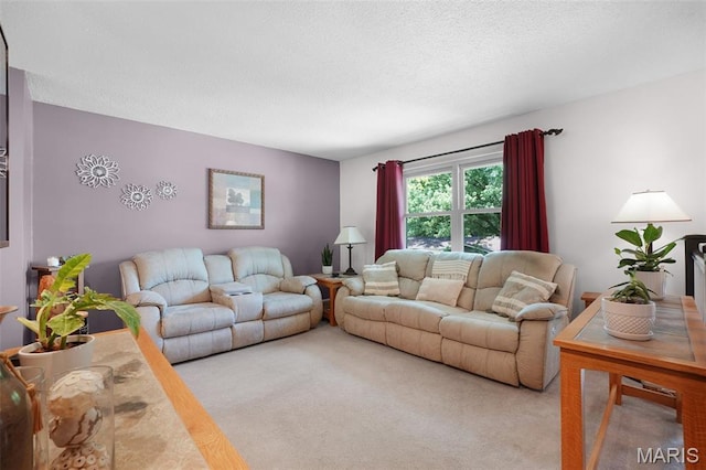1809 Partridge Dr, Windsor Township, MO 63052 - living area featuring light colored carpet and a textured ceiling