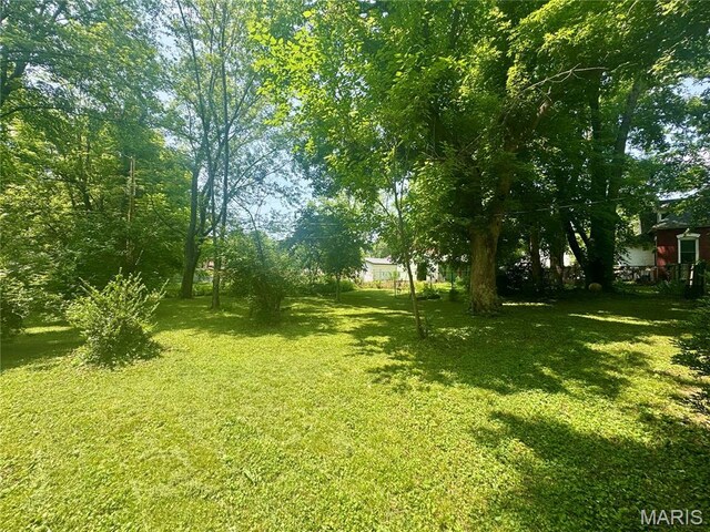 518 Doss St, Farmington, MO 63640 - photo 4
