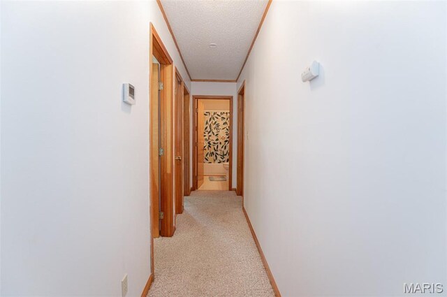 10201 County Road 5440, Rolla, MO 65401 - corridor with a textured ceiling and light carpet