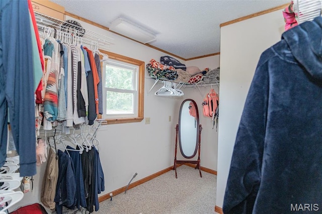 10201 County Road 5440, Rolla, MO 65401 - spacious closet with carpet floors