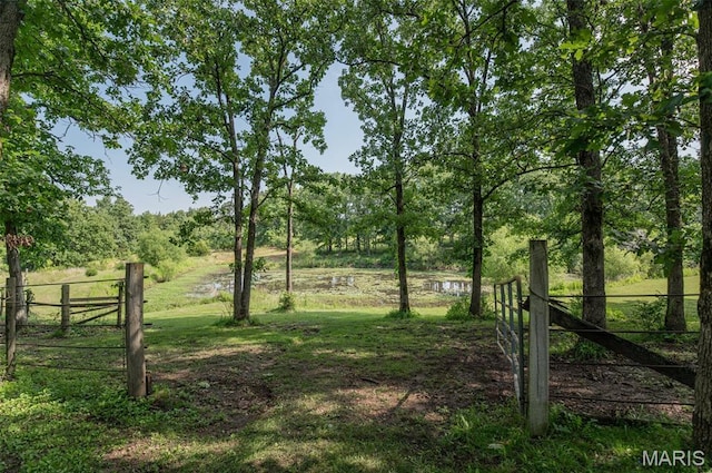 10201 County Road 5440, Rolla, MO 65401 - view of yard