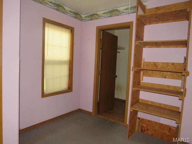 705 S Arch St, Jerseyville, IL 62052 - hallway with carpet flooring and baseboards