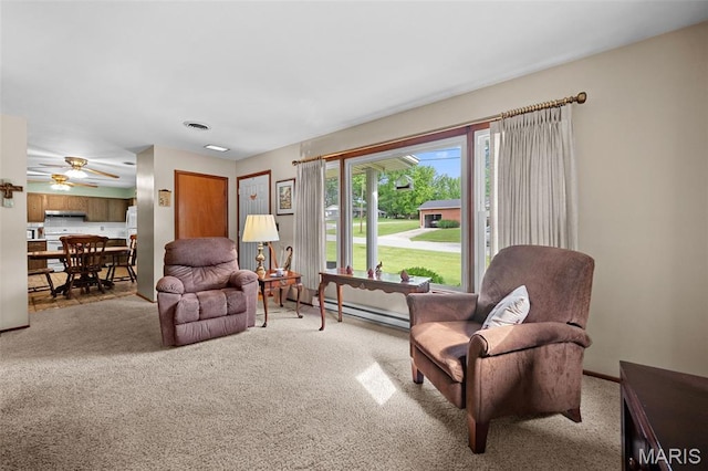 214 Hillcrest Dr, Elsberry, MO 63343 - photo 7