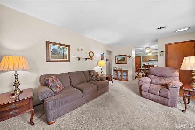 214 Hillcrest Dr, Elsberry, MO 63343 - photo 9