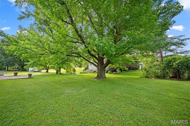 214 Hillcrest Dr, Elsberry, MO 63343 - photo 33