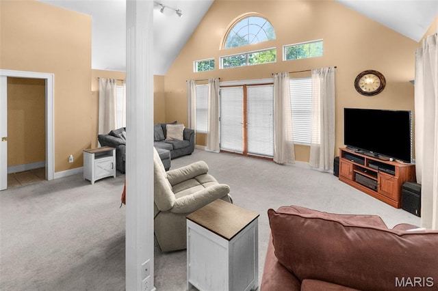 900 Danforth St, Alton, IL 62002 - living area featuring carpet floors, high vaulted ceiling, and track lighting