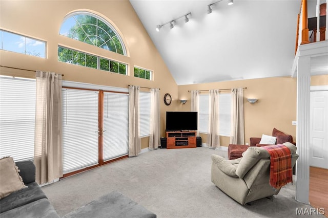 900 Danforth St, Alton, IL 62002 - living area with high vaulted ceiling, rail lighting, and carpet flooring