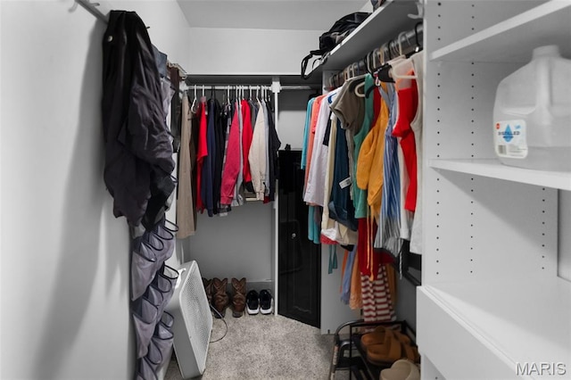 900 Danforth St, Alton, IL 62002 - view of spacious closet