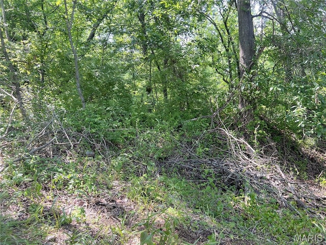 0 Hillview Ln, Perryville, MO 63775 - photo 1