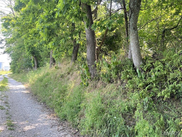 0 Hillview Ln, Perryville, MO 63775 - photo 2
