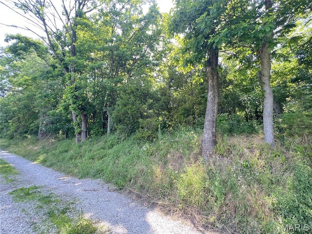 0 Hillview Ln, Perryville, MO 63775 - photo 3