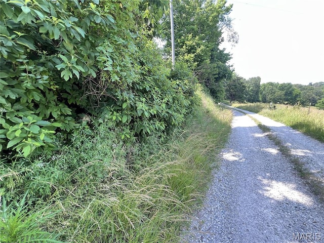 0 Hillview Ln, Perryville, MO 63775 - photo 6