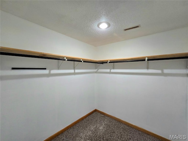 411 Williams St, Bethalto, IL 62010 - spacious closet featuring carpet