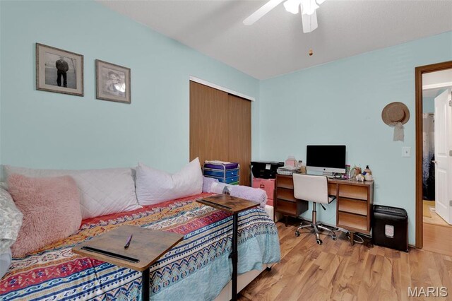 401 Coronation Dr, Ofallon, MO 63366 - photo 24