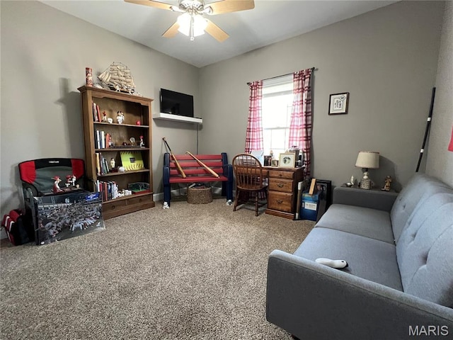 306 Traci Dawn Dr, Rolla, MO 65401 - office space featuring carpet and a ceiling fan