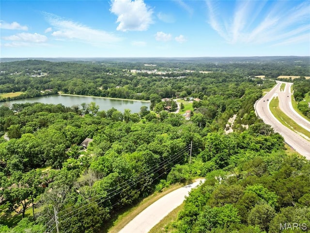 6905 Scenic View Dr, Cedar Hill, MO 63016 - drone / aerial view of a forest and a large body of water