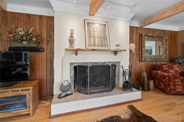 2402 Ripley Rte Unit A, Doniphan, MO 63935 - living room with beamed ceiling, wood finished floors, a fireplace with raised hearth, ornamental molding, and wood walls