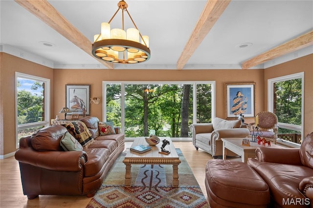 2402 Ripley Rte Unit A, Doniphan, MO 63935 - living room featuring beamed ceiling, plenty of natural light, and light wood finished floors