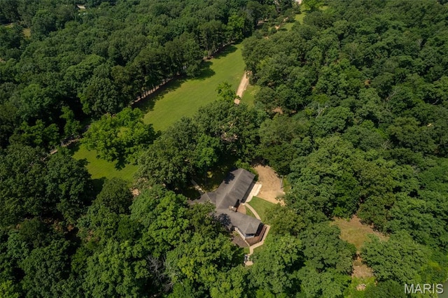 2402 Ripley Rte Unit A, Doniphan, MO 63935 - aerial view of property's location featuring a forest
