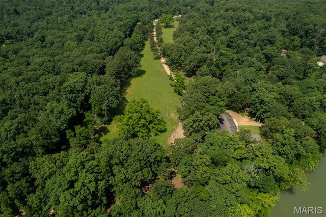 2402 Ripley Rte Unit A, Doniphan, MO 63935 - aerial overview of property's location with a forest and a large body of water