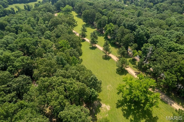 2402 Ripley Rte Unit A, Doniphan, MO 63935 - drone / aerial view of a heavily wooded area