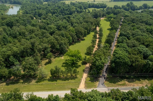 2402 Ripley Rte Unit A, Doniphan, MO 63935 - drone / aerial view of a forest
