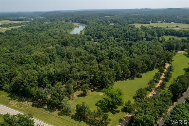 2402 Ripley Rte Unit A, Doniphan, MO 63935 - bird's eye view of a large body of water and a heavily wooded area
