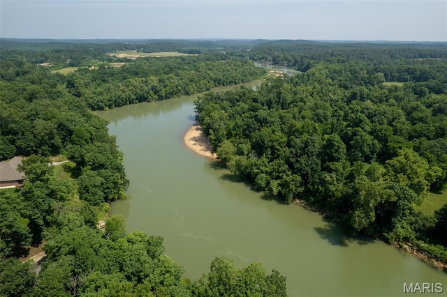 2402 Ripley Rte Unit A, Doniphan, MO 63935 - bird's eye view of a forest and a large body of water