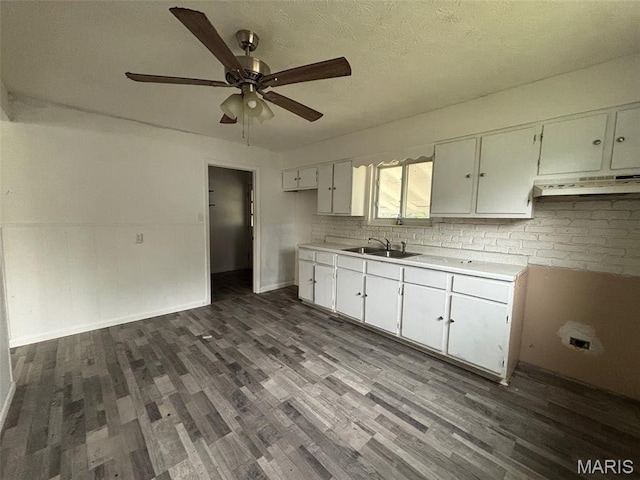 348 Mill St, Bethalto, IL 62010 - kitchen with under cabinet range hood, ceiling fan, dark wood-type flooring, light countertops, and a textured ceiling