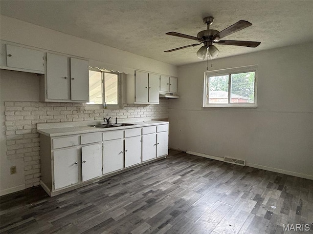348 Mill St, Bethalto, IL 62010 - kitchen featuring dark wood-style floors, ceiling fan, under cabinet range hood, white cabinets, and a textured ceiling