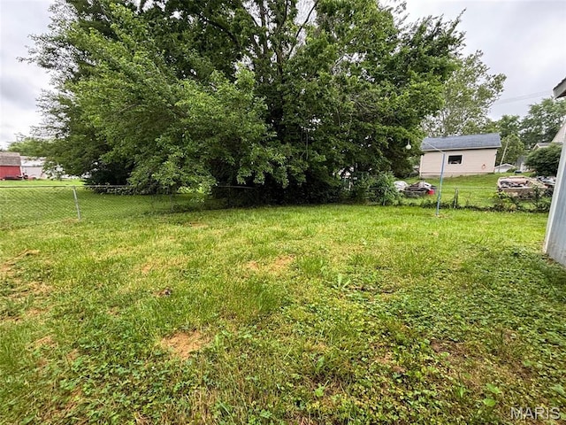 348 Mill St, Bethalto, IL 62010 - view of yard